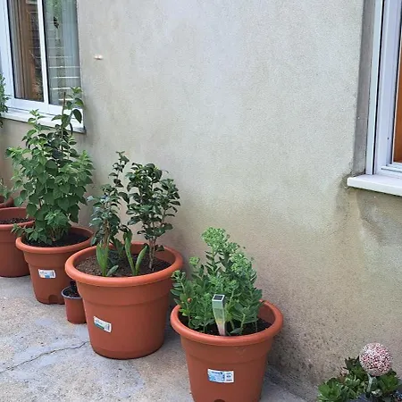 Em Casa Geminada Privada Com Wc Privativo *